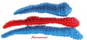 Icelandic Culinary National Team